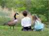 Children feeding ducks - [Click to enlarge].